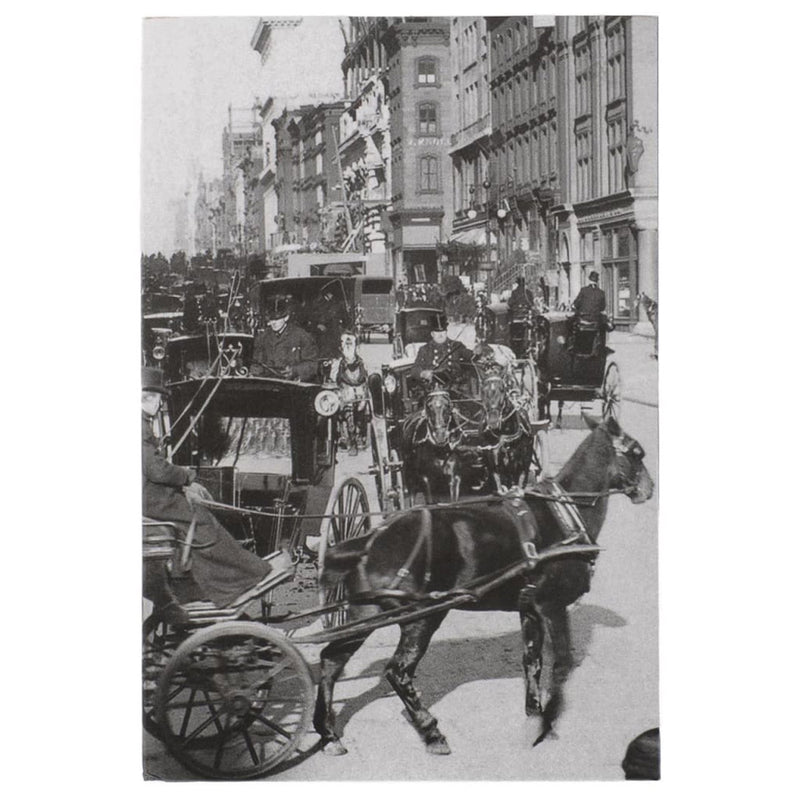 NYT Carriages on 5th Avenue Layflat Pocket Book