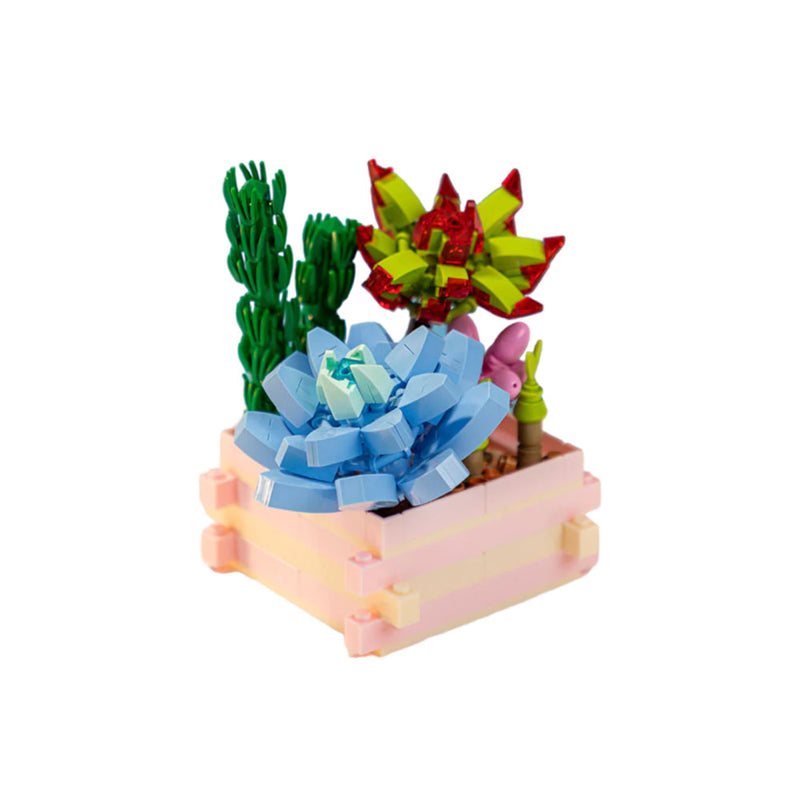 Succulent Garden Something Blue 434 pc