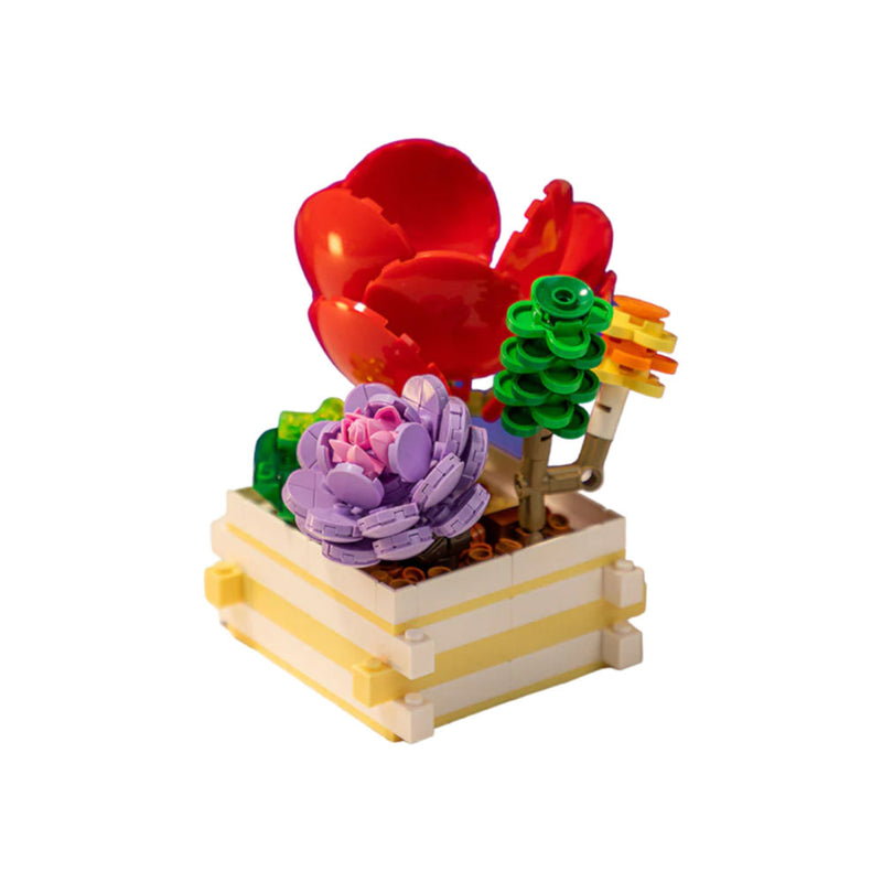 Succulent Garden Scarlet Whisper 284 pc