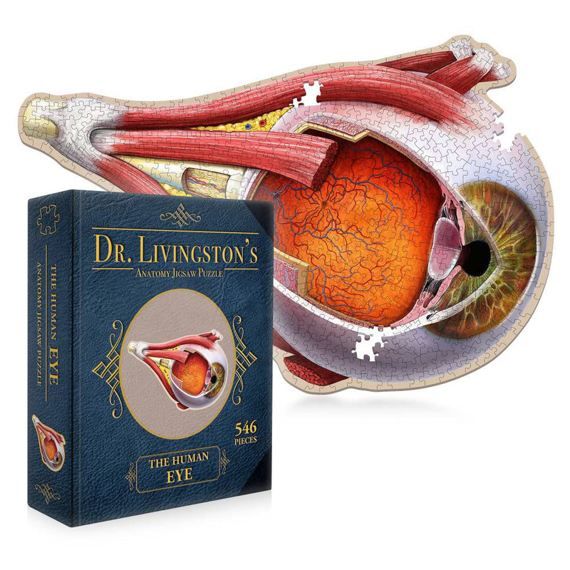 Puzzle de rompecabezas de anatomía del Dr. Livingston