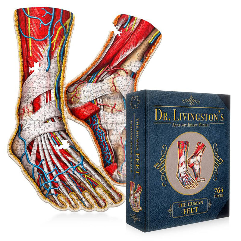 Puzzle de rompecabezas de anatomía del Dr. Livingston