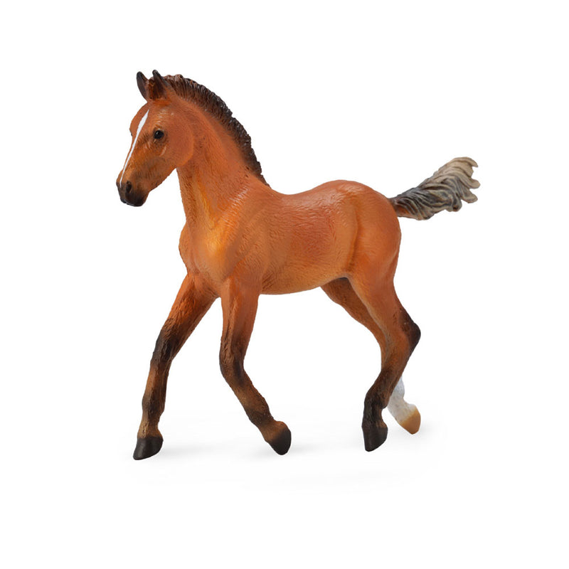 CollectA Hanoverian Foal Bay Figure (Medium)