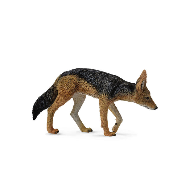 CollectA Black Backed Jackal Figure (Medium)