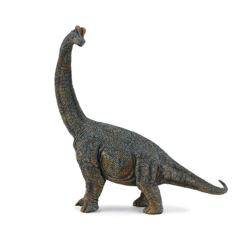  Figura de dinosaurio Brachiosaurus de CollectA