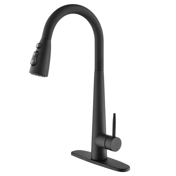 Black Kitchen Faucet with Pull Down Sprayer