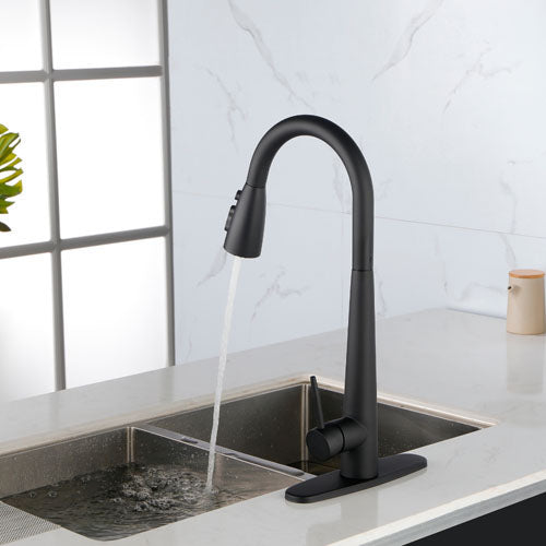 Black Kitchen Faucet with Pull Down Sprayer