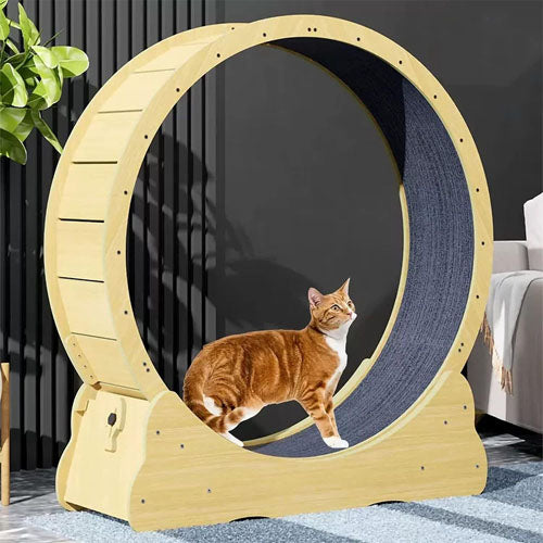 Cat Exercise Wheel