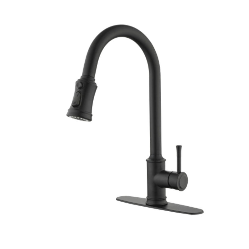 High Arc Single Handle Kitchen Faucet w/ Pull Down Sprayer