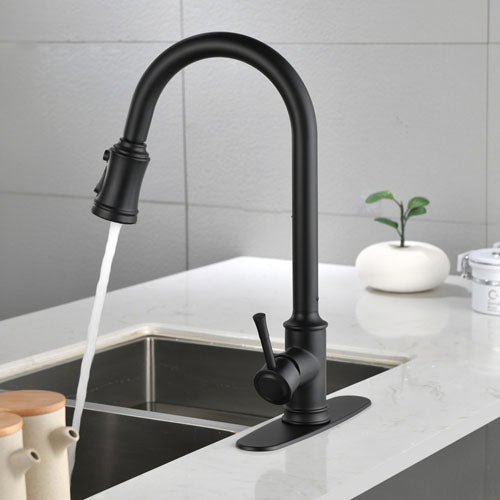 High Arc Single Handle Kitchen Faucet w/ Pull Down Sprayer