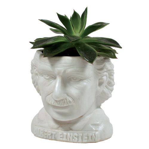 Albert Einstein Planter