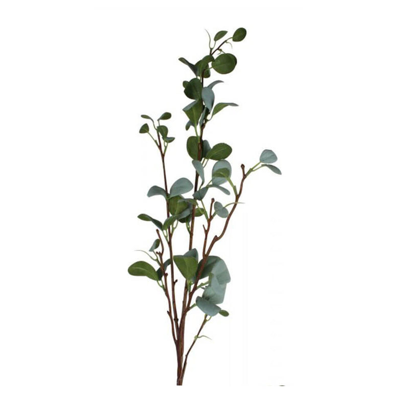 Juniper Frosted Syzygium Jambos Spray 96cm