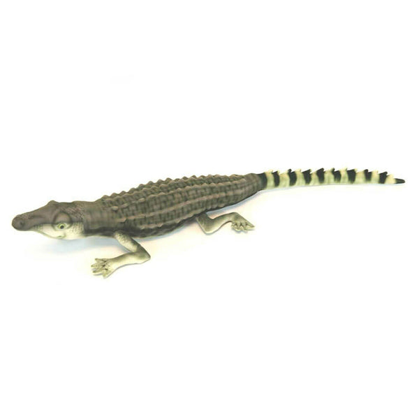 Hansa Philippine Crocodile (63cm)