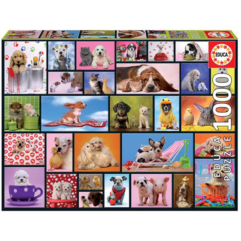  Colección Puzzle Educa 1000pzs