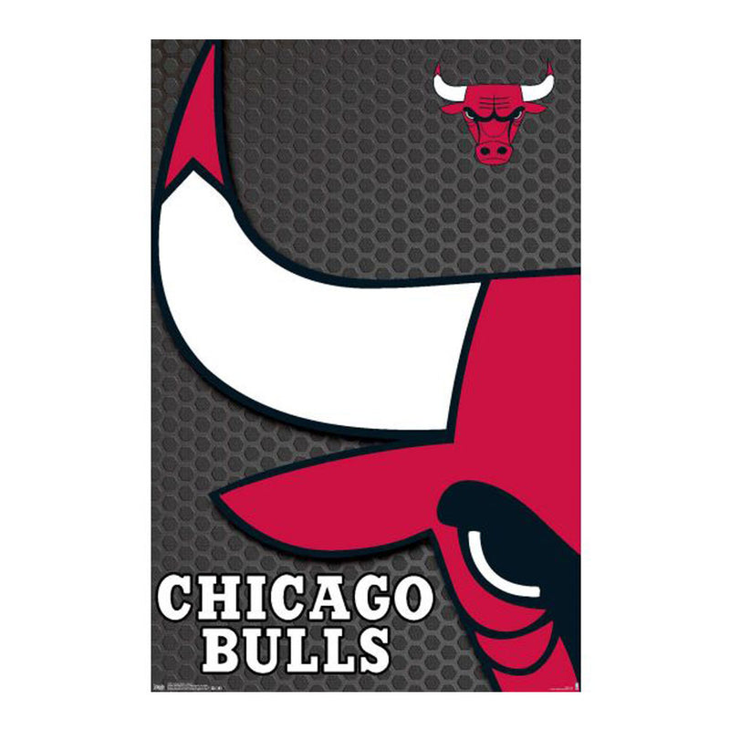 NBA Chicago Bulls Poster